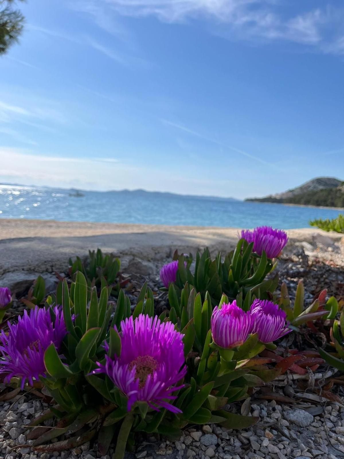 Eco Resort Buqez Villa 34 Drage Εξωτερικό φωτογραφία